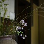 鹿教湯 三水館 - 