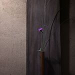 鹿教湯 三水館 - 