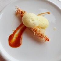 サーラ アマービレ - 