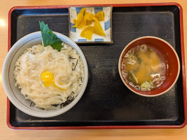 北海道に来たらまずは海鮮丼。 : いくら亭の写真