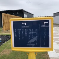 GLICINE di ACQUA PAZZA - 