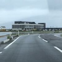 GLICINE di ACQUA PAZZA - 