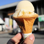 道の駅南国 ショップ風良里 - アイスクリン350円