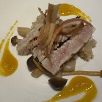 CILQ - 
