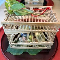 妙見石原荘 食菜石蔵 - 八寸