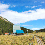 見えてきました。