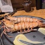 炭火焼きリリー - 