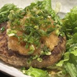 海へ - おろしハンバーグ