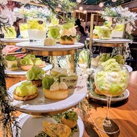 ERUTAN RESTAURANT BAR - 