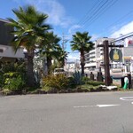 ALOHA CAFE Pineapple - 