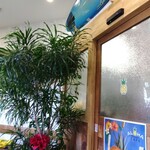 ALOHA CAFE Pineapple - 