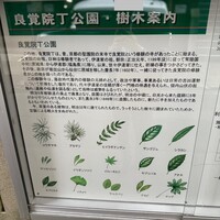 日本料理 e. - 