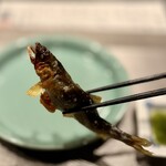 御料理ふじ居 - 