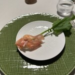 モリエール モンターニュ - 