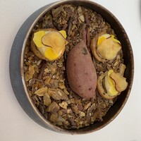 ワインラウンジ＆レストラン セパージュ 名古屋店 - 