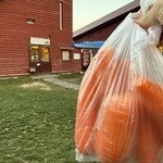 ニセコミルク工房 高橋牧場 - 