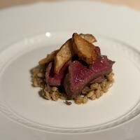 フォリオリーナ・デッラ・ポルタ・フォルトゥーナ - 