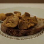 ペレグリーノ - 