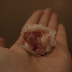 ペレグリーノ - 