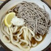さか枝うどん 南新町店