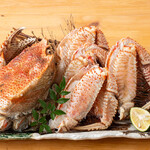 本格板前居酒屋 お魚総本家 - 