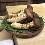 徳ㇵ本也 - 長野産松茸