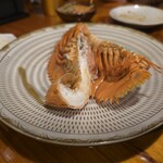 魚虎 - ウチワエビ