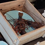 이세에비 해물 무시료리 카게츠