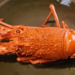 이세에비 해물 무시료리 카게츠