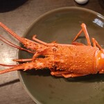 이세에비 해물 무시료리 카게츠