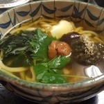 〈Warm〉〈Cold〉 Umeboshi Udon