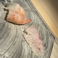 島津 - 
