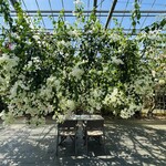 ユートピアファーム宮古島 - 