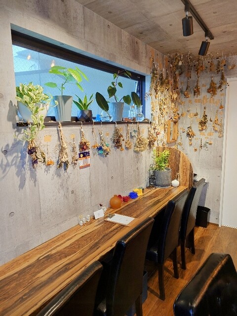 luciolacoffee photo 5