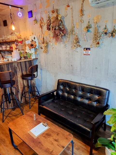 luciolacoffee photo 4