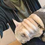 alter ego matic&Cafe - 