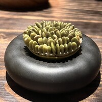 6 - 