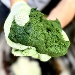 総本舗　白酒屋 - 