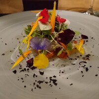 ARMONICO - 