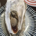 かき小屋 飛梅 - 