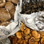 ゴッサム - 料理写真: