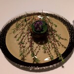 オトワ レストラン - 