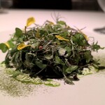 オトワ レストラン - レアなヤシオマスマリネ　マスカルポーネハーブソース　いくら