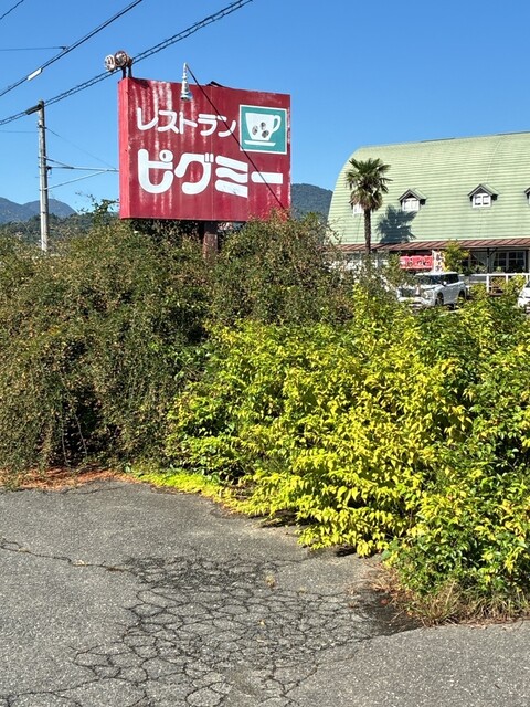ピグミー 医王寺前 &ndash; 福島市で楽しむコスパ抜群の洋食ランチ