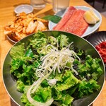 ホルモンと酒 春田屋 - 