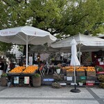 Caff’e Ponte ITALIANO - 