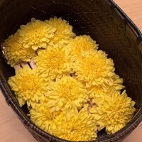 本湖月 - 