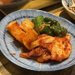 ホルモン人生タロちゃん - 