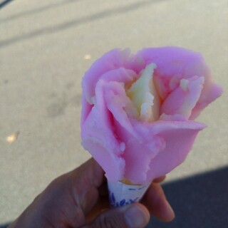 ババヘラアイス_1