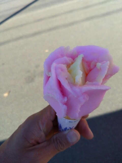 ババヘラアイス（進藤冷菓） - 船越（その他）の写真